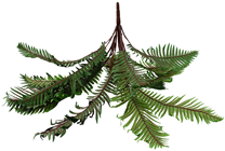 Artificial Sword Fern - 70cm 