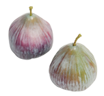 Fig - 2 Assorted Colours, 1 Supplied 