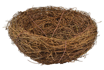 Bird''s Nest - 20cm 