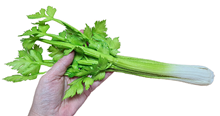 Fake Head of Celery 