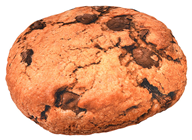 Giant Plush Cookie 