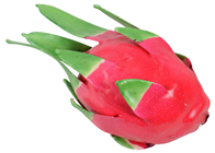 Dragon Fruit 