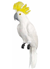 Fake Cockatoo - White 50cm 