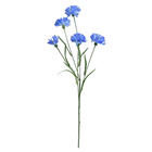 Mid-Blue Cornflower Spray 