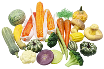 Selection of Vegetables 