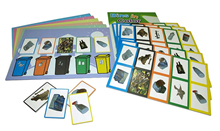BINS IN COLOUR MAGNETIC BOARD GAME 