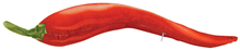 Giant Plush Chilli 