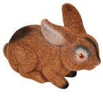 Brown Rabbit 