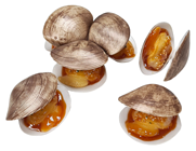 Replica Clam in Shell with Sauce, Pk 