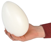 Big White Egg - 17 x 11cm 