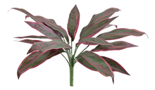 Artificial Dracaena Cordyline Plant 