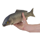 Large Rubber Carp Fish 