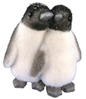 Penguin Pair 