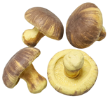 Large Mushrooms - Pk.4 