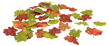 Autumnal Vine Leaves - Pk.36 