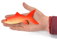 Rubber Goldfish 