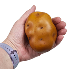 Large Potato 