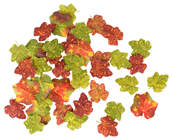Autumnal Vine Leaves - Pk.36 