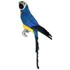 Blue Tropical Parrot - 42cm 