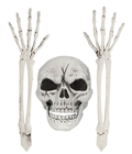 Skeleton Arms and Skull Groundbreaker Se 