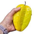 Fake Starfruit Carambola 