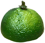 Fake Lime Half 