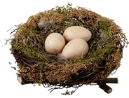 Nest with Foliage and Eggs - 16cm 