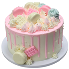 Pastel Decorated Party Cake 