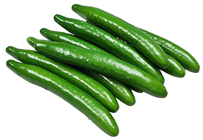 Small Fake Cucumber 