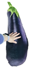 Giant Plush Aubergine-Eggplant 