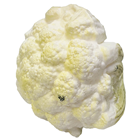 Plastic Cauliflower - Slight Second 
