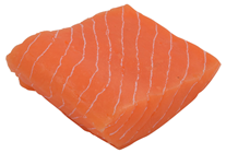 Salmon Portion 