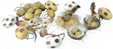 Easter Decoration Set - Natural 