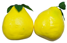 Fake Pomelo - Slight Seconds 