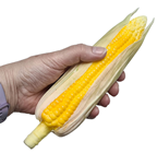 Fake Corn-on-the-Cob in Husk 
