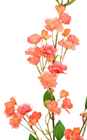 Apple Blossom Branch in Peach - 135cm 