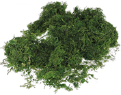 Scatter Moss - Dark Green 50g 