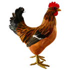 Orange-Brown Hen - 28cm 