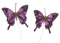 Purple Butterflies - 15cm Pk.2