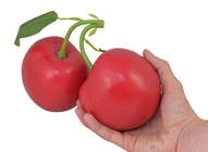 Giant Red Cherry Pair 