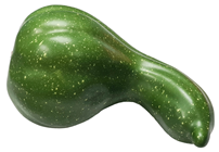 Green Bottle Pumpkin Gourd 