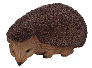 Hedgehog 