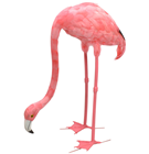 Flamingo - Head Down 69cm