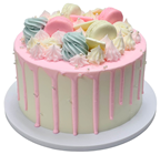 Pastel Decorated Party Cake 