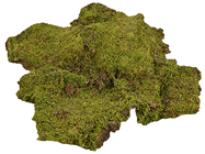 Flat Moss Pieces - 2Kg 