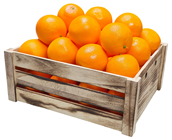 Oranges - Pk.10 