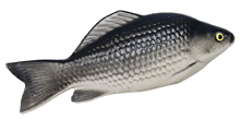 Small Grey Plastic Fish 