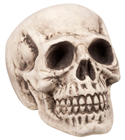 Big Head Skull 