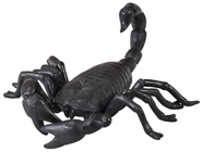 Giant Scorpion 