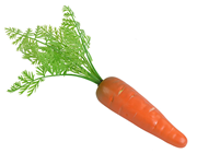 Fake Carrot 